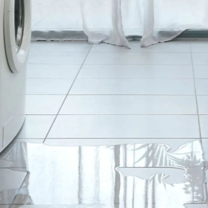 Appliance Leak Cleanup in Newberry, MI