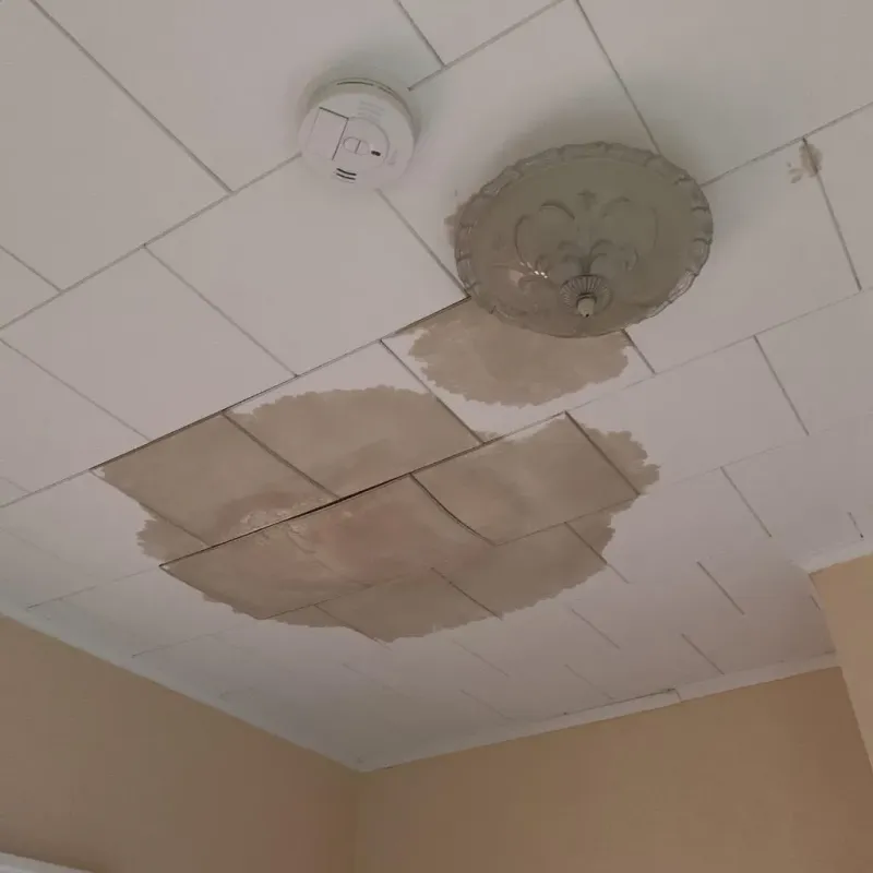 Ceiling Water Damage Repair in Newberry, MI