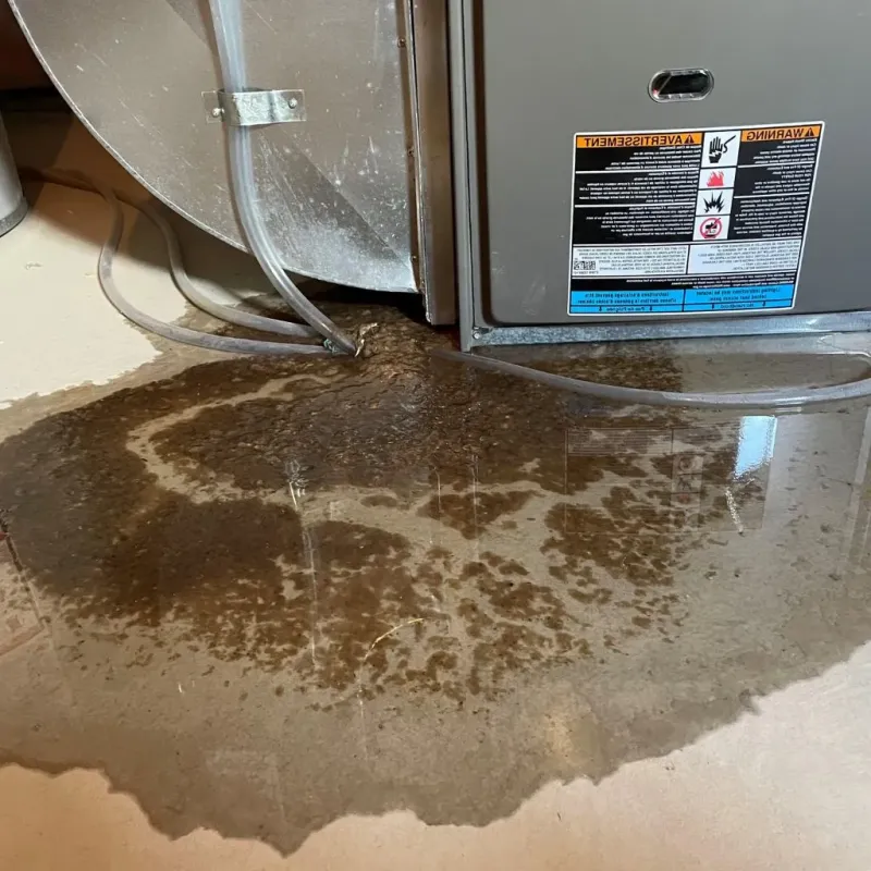 Pipe Burst and Leak Restoration in Newberry, MI