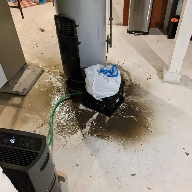 Sewage Backup Cleanup Service in Newberry, MI